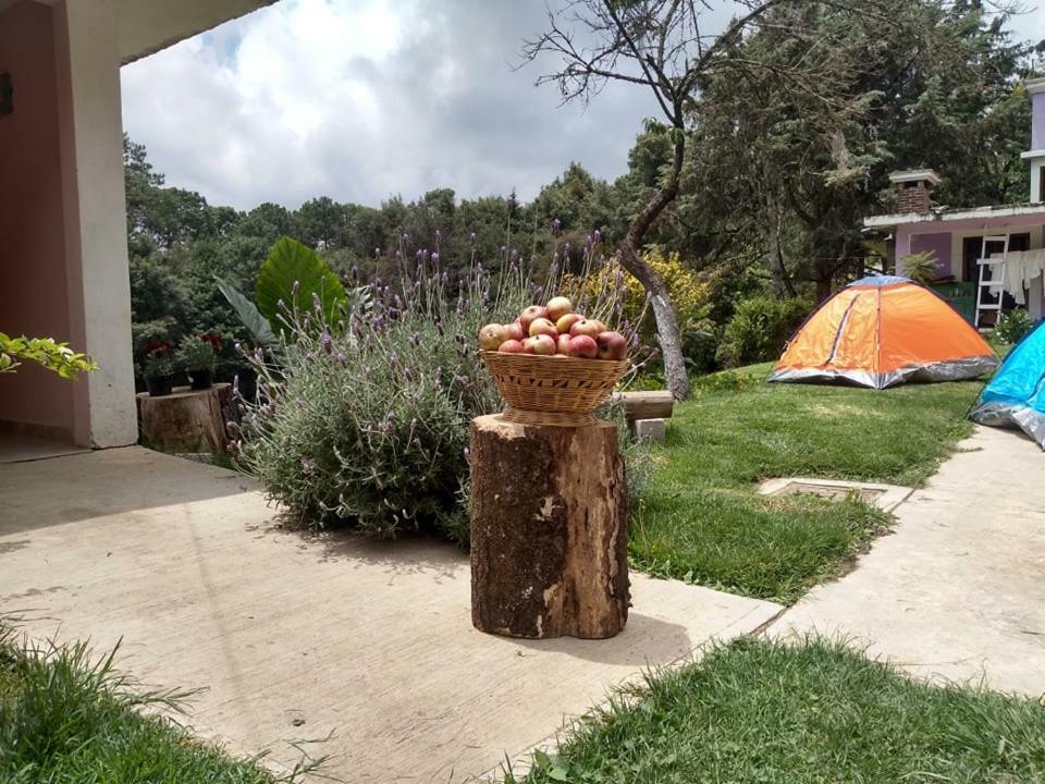 Hotel Bosques Zacatlan Exterior photo
